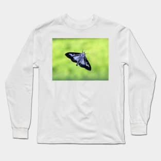 Box Tree Moth Long Sleeve T-Shirt